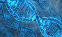Biochemistry mollecule DNA