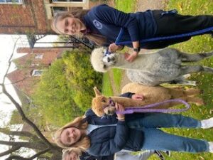 Students with 2 Alpacas