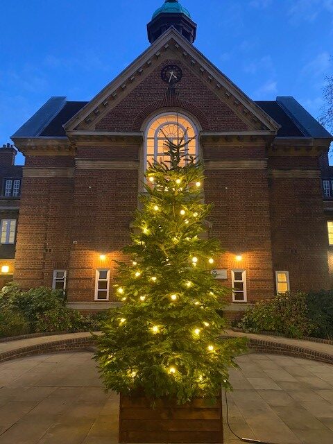 2021 Christmas Tree at front of College