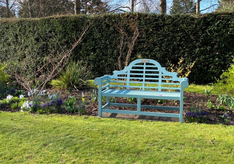 A seat in the Fellows Garden in spring