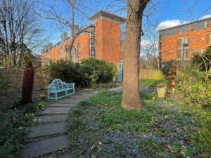 The newly planted ferns in the Fellows Garden