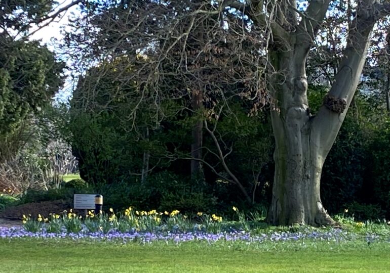 A view of the gardens in spring