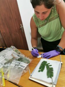 Carla processing botanical samples