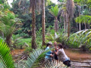 Pushing the corer into one of the three non-coastal lagoas of Príncipe