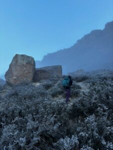 Early morning fog in the Cerro Guido Conservation area