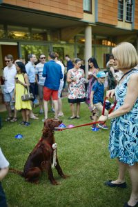 Dog and owner posing at the dog show