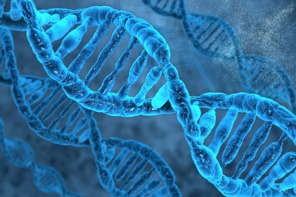 Biochemistry mollecule DNA