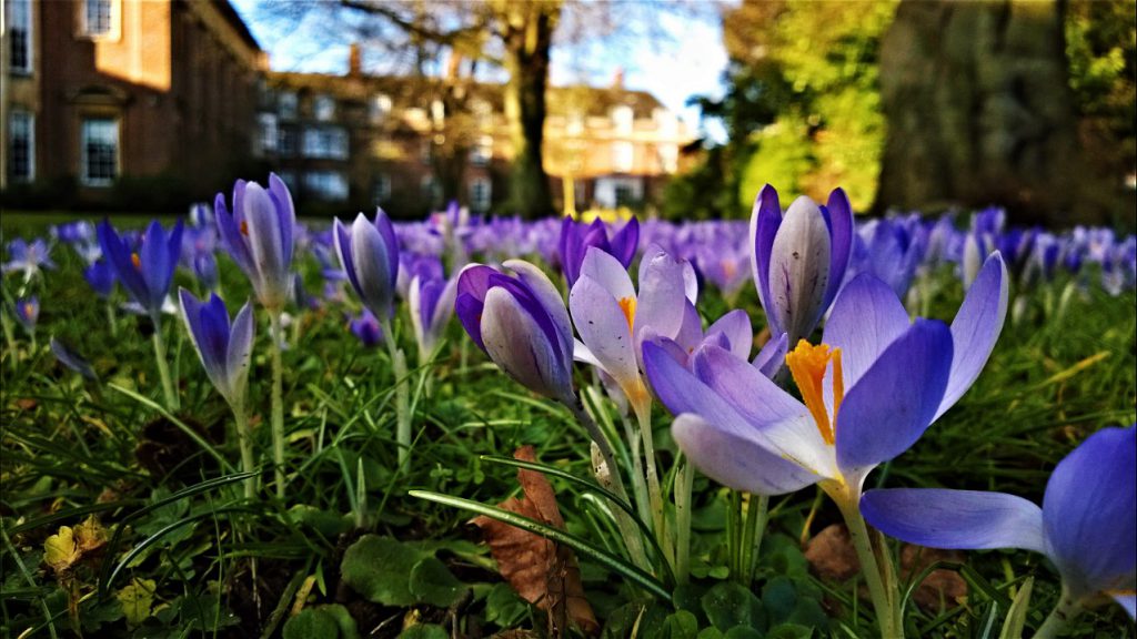 Charlotte Ainslie outreach photography competition