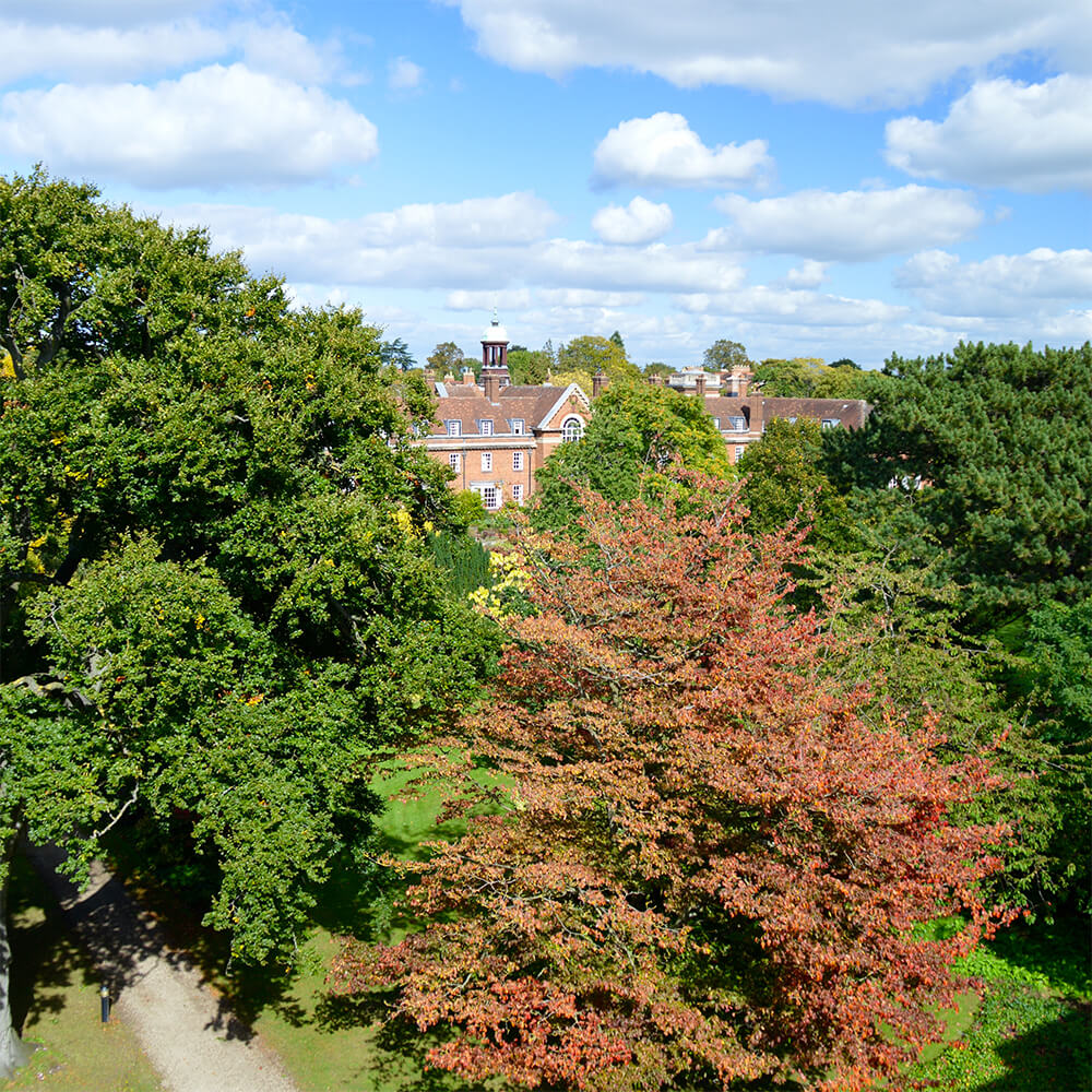 Aerial view over St Hugh's gardens