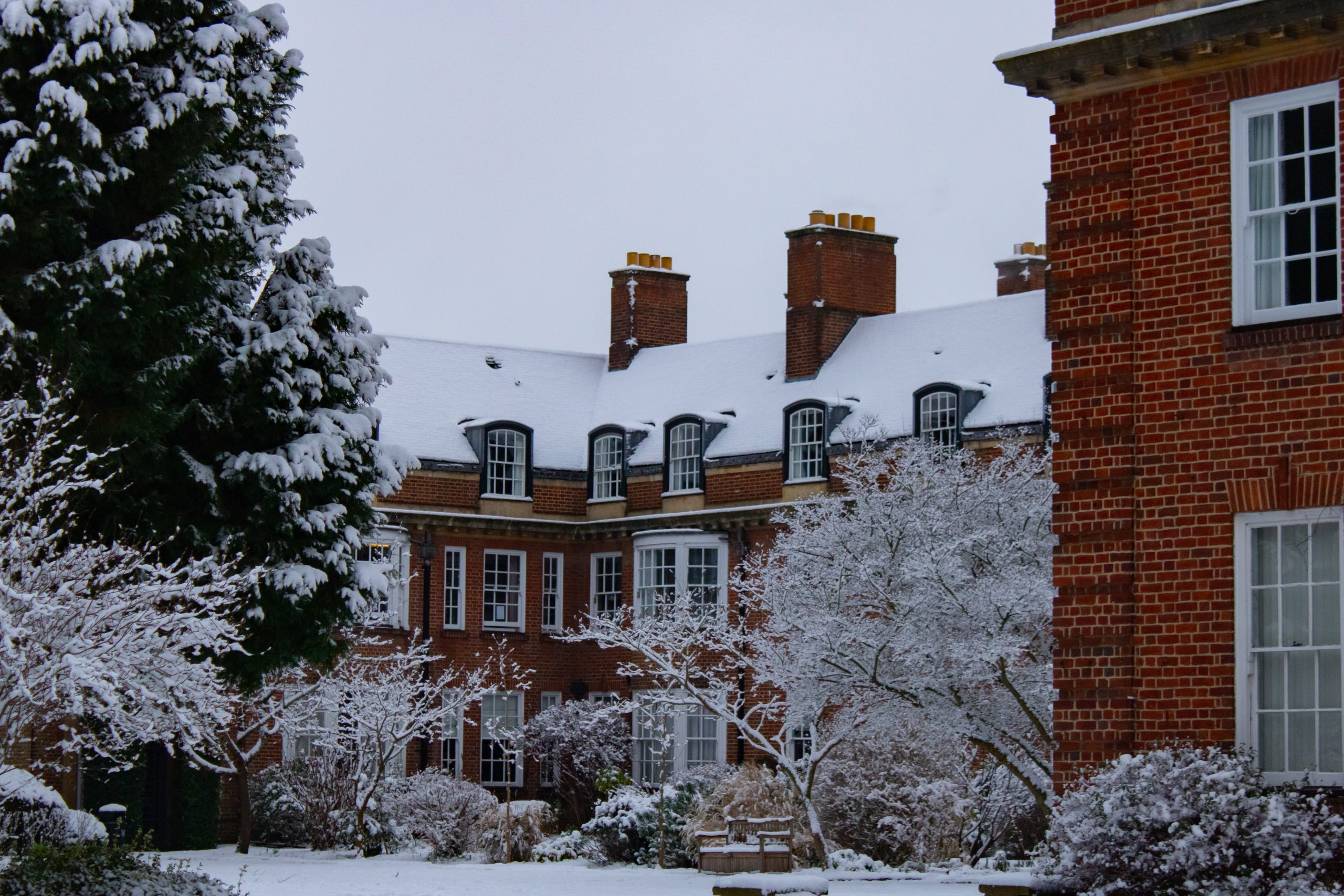 College gardens in the snow