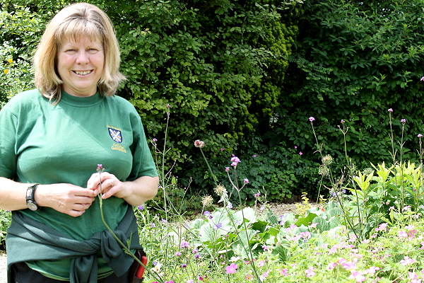 History of the College Gardens - Continuing Education course