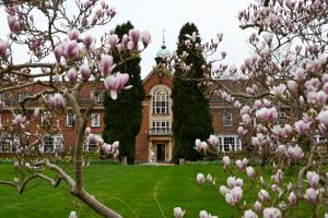 View of Main Building through the Magnolia Tree