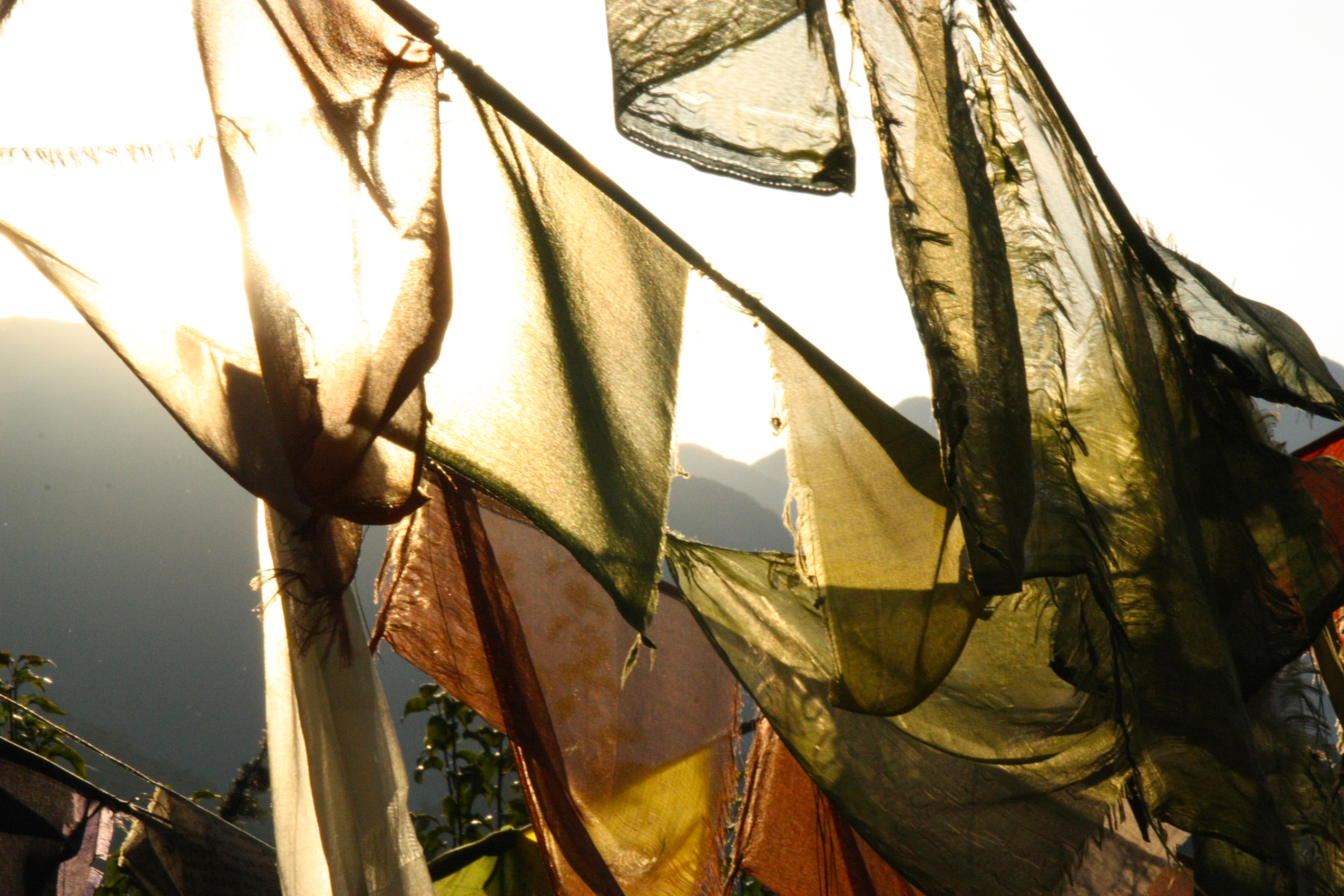 Prayer flags (McLeod Ganj, Himachal Pradesh)