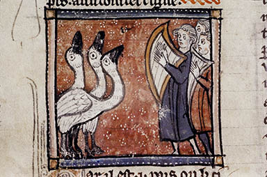 Bodleian Douce 308