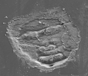 Face carved in carbon glass using laser micromachining system