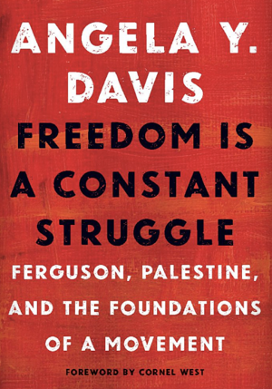 Freedom is a constant struggle by Angela Y. Davis