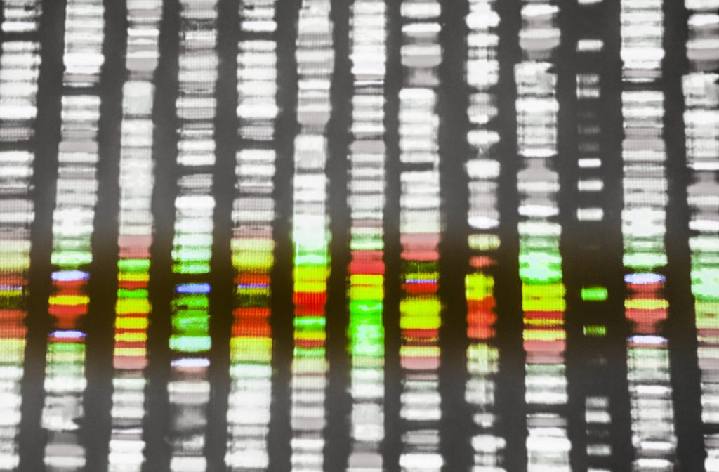 A close up of dna for research into the genetics of rare mitochondrial genetic diseases